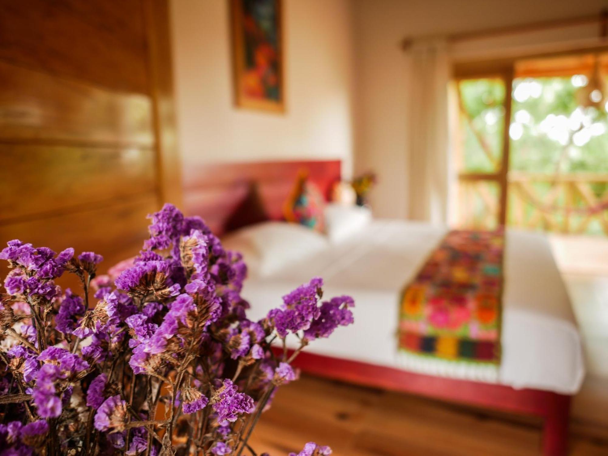 Carpe Diem Casitas & Villas Mazunte Room photo