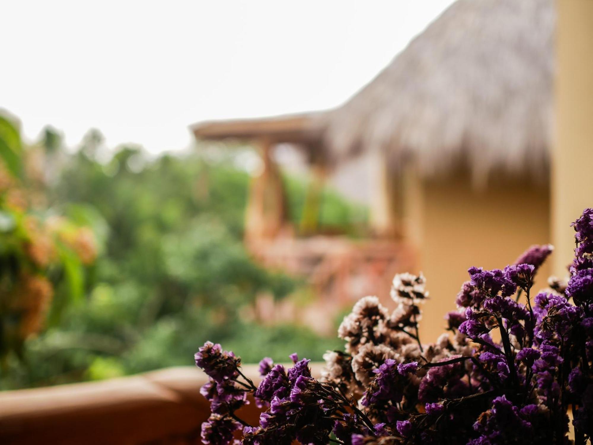 Carpe Diem Casitas & Villas Mazunte Room photo
